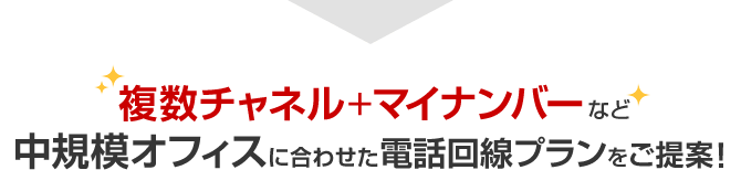 複数チャネル+マイナンバーなど中規模オフィスに合わせた電話回線プランをご提案！