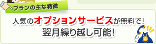 プランの主な特徴…人気のオプションサービスが無料で！翌月繰り越し可能！