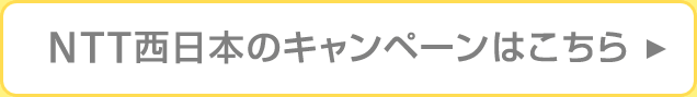 Consumer - 光回線を使用したインターネット接続ならフレッツ光｜店舗・事務所・法人向けF