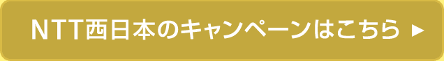 Consumer - 光回線を使用したインターネット接続ならフレッツ光｜店舗・事務所・法人向けF