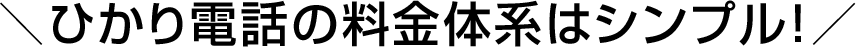 ＼ひかり電話の料金体系はシンプル！／