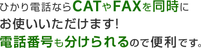 ひかり電話ならCATやFAXを同時にお使いいただけます！電話番号も分けられるので便利です。