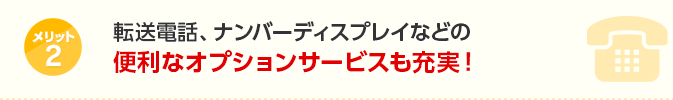 メリット2便利なオプションサービスも充実