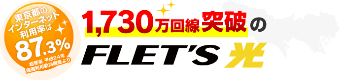 東京都のインターネット利用率は87.3%