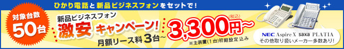 ひかり電話とビジネスフォンをセットで3,300円から