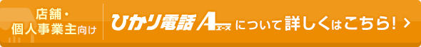 店舗や個人事業主向けのひかり電話エースについて