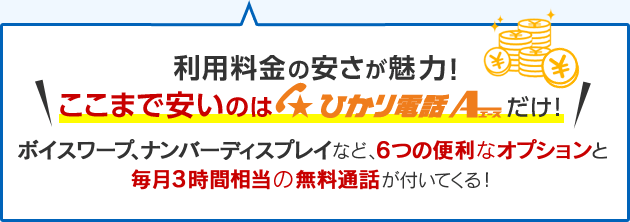 利用料金の安さが魅力！ここまで安いのはひかり電話エースだけ