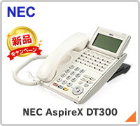 NEC Aspire X DT300